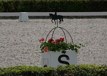 Auf dem Schafhof in Kronberg 2021
