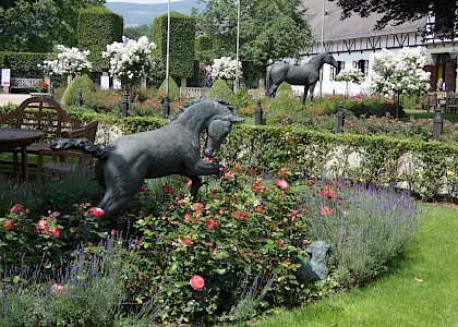 Auf dem Schafhof in Kronberg 2021