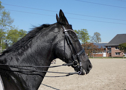 Training in Corona-Zeiten