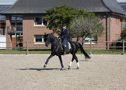 Training in Corona-Zeiten