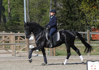 Training in Corona-Zeiten