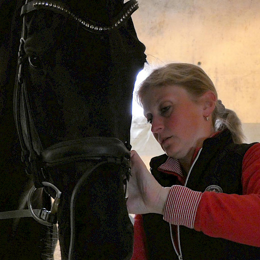 Pferd International M&uuml;nchen 2019