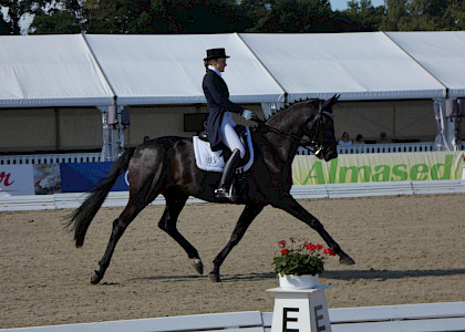 Verden International 2018