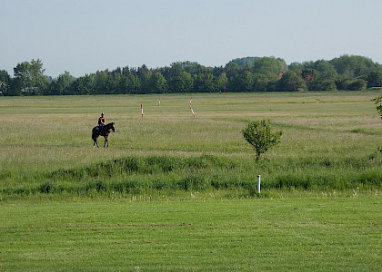 Pferd International M&uuml;nchen 2018