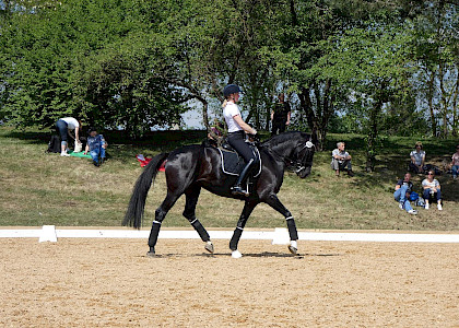 Pferd International M&uuml;nchen 2018