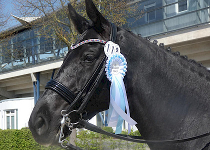 Aachen Dressage Days 2018